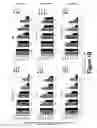 Fig. 03 - Combinations of histone deacetylase inhibitors and bendamustine