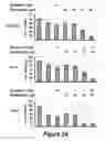Fig. 05 - Combinations of histone deacetylase inhibitors and bendamustine