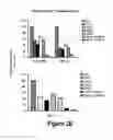 Fig. 08 - Combinations of histone deacetylase inhibitors and bendamustine