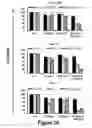 Fig. 09 - Combinations of histone deacetylase inhibitors and bendamustine