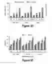 Fig. 16 - Combinations of histone deacetylase inhibitors and bendamustine
