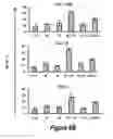 Fig. 18 - Combinations of histone deacetylase inhibitors and bendamustine