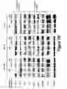Fig. 22 - Combinations of histone deacetylase inhibitors and bendamustine