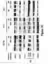 Fig. 23 - Combinations of histone deacetylase inhibitors and bendamustine