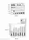 Fig. 24 - Pharmaceutical formulation containing thienotriazolodiazepine compounds