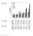Fig. 45 - Pharmaceutical formulation containing thienotriazolodiazepine compounds