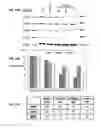 Fig. 55 - Pharmaceutical formulation containing thienotriazolodiazepine compounds