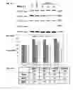 Fig. 57 - Pharmaceutical formulation containing thienotriazolodiazepine compounds