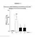 Fig. 10 - Treatment of Addiction and Impulse-Control Disorders Using PDE7 Inhibitors