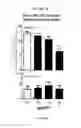 Fig. 16 - Treatment of Addiction and Impulse-Control Disorders Using PDE7 Inhibitors