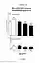 Fig. 17 - Treatment of Addiction and Impulse-Control Disorders Using PDE7 Inhibitors