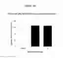 Fig. 19 - Treatment of Addiction and Impulse-Control Disorders Using PDE7 Inhibitors