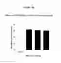 Fig. 20 - Treatment of Addiction and Impulse-Control Disorders Using PDE7 Inhibitors