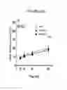 Fig. 25 - Treatment of Addiction and Impulse-Control Disorders Using PDE7 Inhibitors