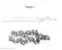 Fig. 04 - Dietary supplement containing phospholipid-DHA derived from eggs