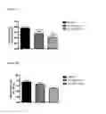 Fig. 04 - PHARMACEUTICAL COMPOSITION, METHODS FOR TREATING AND USES THEREOF