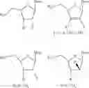 Fig. 02 - 2′ Fluoronucleosides