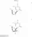 Fig. 19 - 2′ Fluoronucleosides