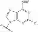 Fig. 08 - METHODS OF PREVENTING, REDUCING OR TREATING MACULAR DEGENERATION