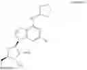 Fig. 13 - METHODS OF PREVENTING, REDUCING OR TREATING MACULAR DEGENERATION
