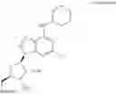 Fig. 17 - METHODS OF PREVENTING, REDUCING OR TREATING MACULAR DEGENERATION