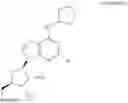 Fig. 37 - METHODS OF PREVENTING, REDUCING OR TREATING MACULAR DEGENERATION