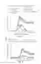 Fig. 02 - Nutraceutical Composition And Methods For Prevention Or Treating Multiple Sclerosis
