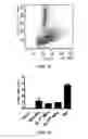 Fig. 03 - Methods and compositions for expanding long-term hematopoietic stem cell populations