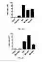 Fig. 07 - Methods and compositions for expanding long-term hematopoietic stem cell populations