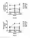 Fig. 15 - Methods and compositions for expanding long-term hematopoietic stem cell populations