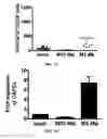 Fig. 19 - Methods and compositions for expanding long-term hematopoietic stem cell populations