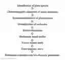 Fig. 02 - Regulation of Brain Biogenic Amines Associated with Depression by a Formulation from Botanical Source