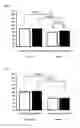 Fig. 02 - EXERCISE FUNCTION ENHANCER
