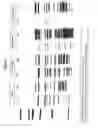 Fig. 02 - Polypeptides and immunizing compositions containing gram positive polypeptides and methods of use