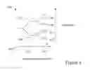 Fig. 07 - CLATHRIN THERAPEUTIC FOR INFECTIOUS DISEASES