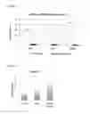 Fig. 04 - GLYCOSYLATED PROTEIN OF AN EXTRA-CELLULAR MATRIX FOR USE IN A METHOD OF TREATING AN ISCHEMIC HEART OF A HUMAN OR ANIMAL SUBJECT IN NEED THEREOF