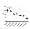 Fig. 05 - GLYCOSYLATED PROTEIN OF AN EXTRA-CELLULAR MATRIX FOR USE IN A METHOD OF TREATING AN ISCHEMIC HEART OF A HUMAN OR ANIMAL SUBJECT IN NEED THEREOF