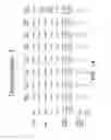 Fig. 02 - Methods for treating dermatomyositis or polymyositis by administering a soluble CTLA4 molecule