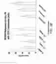 Fig. 09 - Methods for treating dermatomyositis or polymyositis by administering a soluble CTLA4 molecule