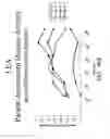 Fig. 35 - Methods for treating dermatomyositis or polymyositis by administering a soluble CTLA4 molecule