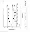 Fig. 64 - Methods for treating dermatomyositis or polymyositis by administering a soluble CTLA4 molecule