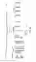 Fig. 80 - Methods for treating dermatomyositis or polymyositis by administering a soluble CTLA4 molecule