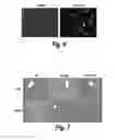 Fig. 06 - METHODS AND COMPOSITIONS FOR CNS DELIVERY OF IDURONATE-2-SULFATASE