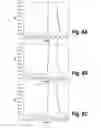 Fig. 07 - METHODS AND COMPOSITIONS FOR CNS DELIVERY OF IDURONATE-2-SULFATASE