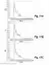 Fig. 13 - METHODS AND COMPOSITIONS FOR CNS DELIVERY OF IDURONATE-2-SULFATASE