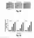 Fig. 46 - METHODS AND COMPOSITIONS FOR CNS DELIVERY OF IDURONATE-2-SULFATASE
