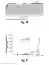 Fig. 47 - METHODS AND COMPOSITIONS FOR CNS DELIVERY OF IDURONATE-2-SULFATASE