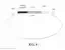 Fig. 05 - Genetically modified babesia parasites expressing protective tick antigens and uses thereof