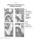 Fig. 06 - METHODS OF PREPARATION AND COMPOSITION OF PEPTIDE CONSTRUCTS USEFUL FOR TREATMENT OF RHEUMATOID ARTHRITIS