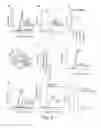Fig. 03 - Vaccine comprising AMA1 and RON2